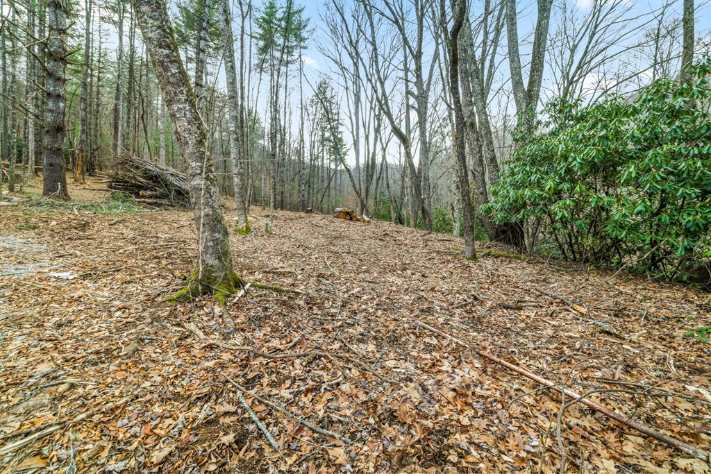 Lot 2 Craig Dr