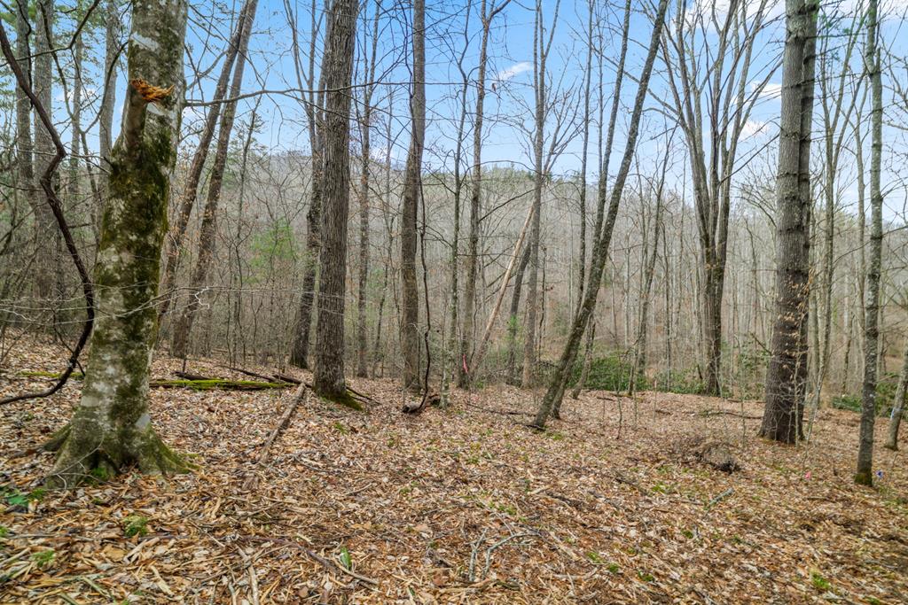 Lot 2 Craig Dr