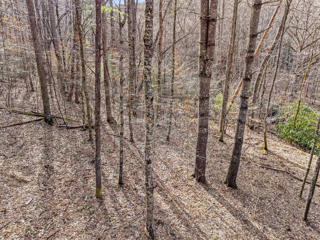 Lot 2 Craig Dr