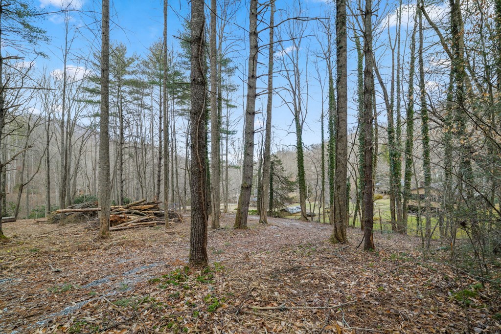 Lot 2 Craig Dr