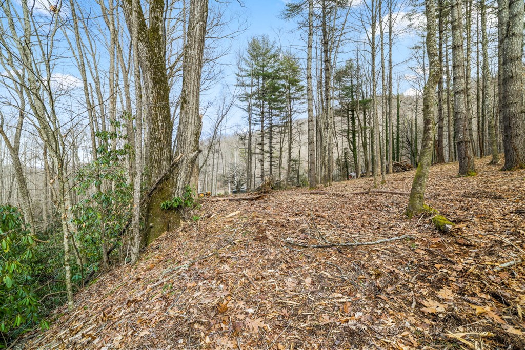 Lot 2 Craig Dr