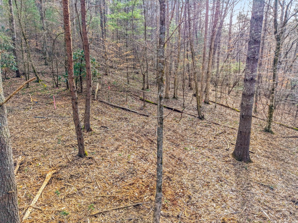Lot 2 Craig Dr