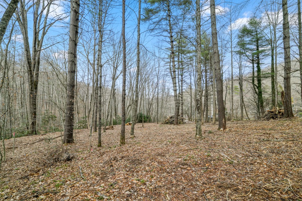 Lot 2 Craig Dr