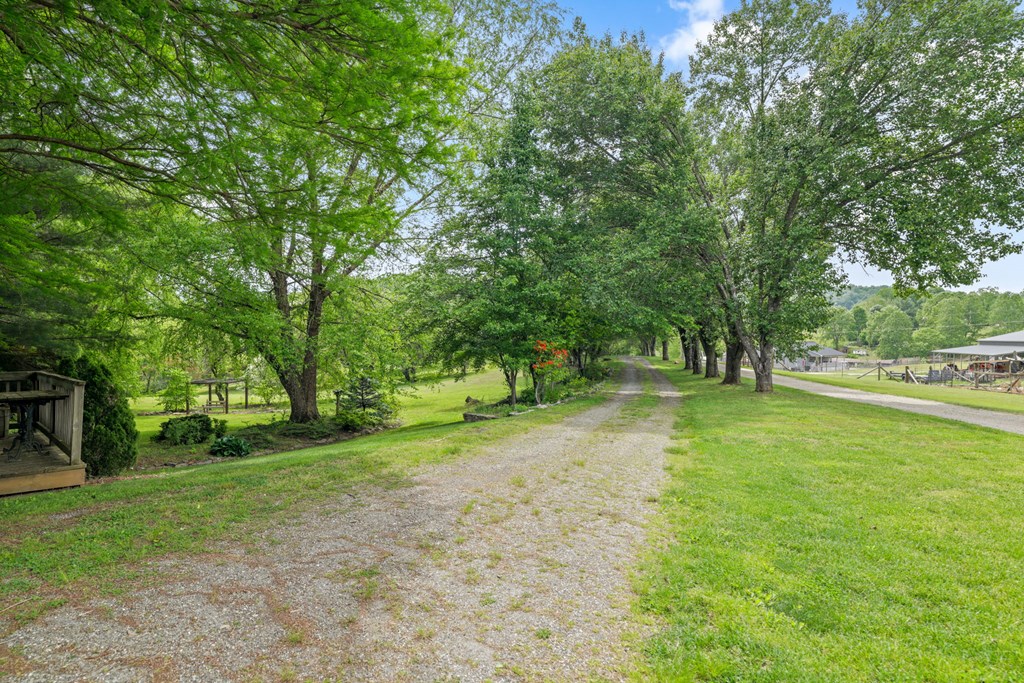 24 Jean Holt Road
