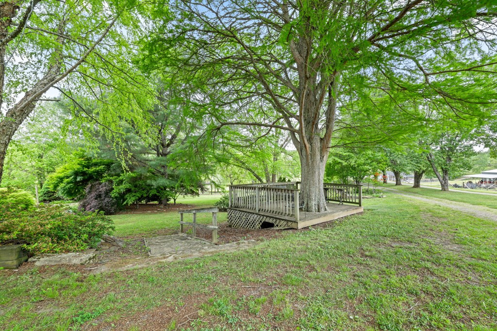 24 Jean Holt Road