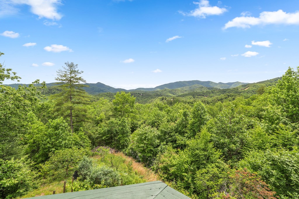1188 Tobacco Branch Rd