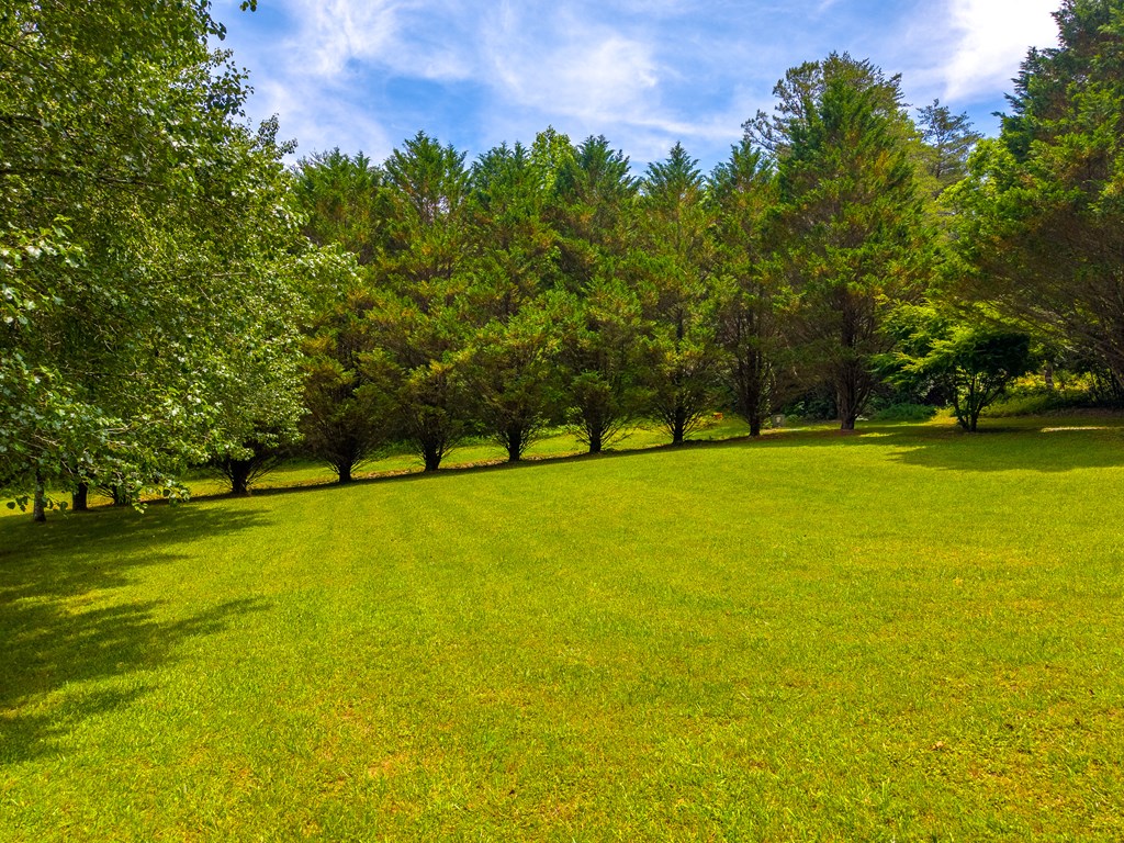 171 Ideal Acres Road