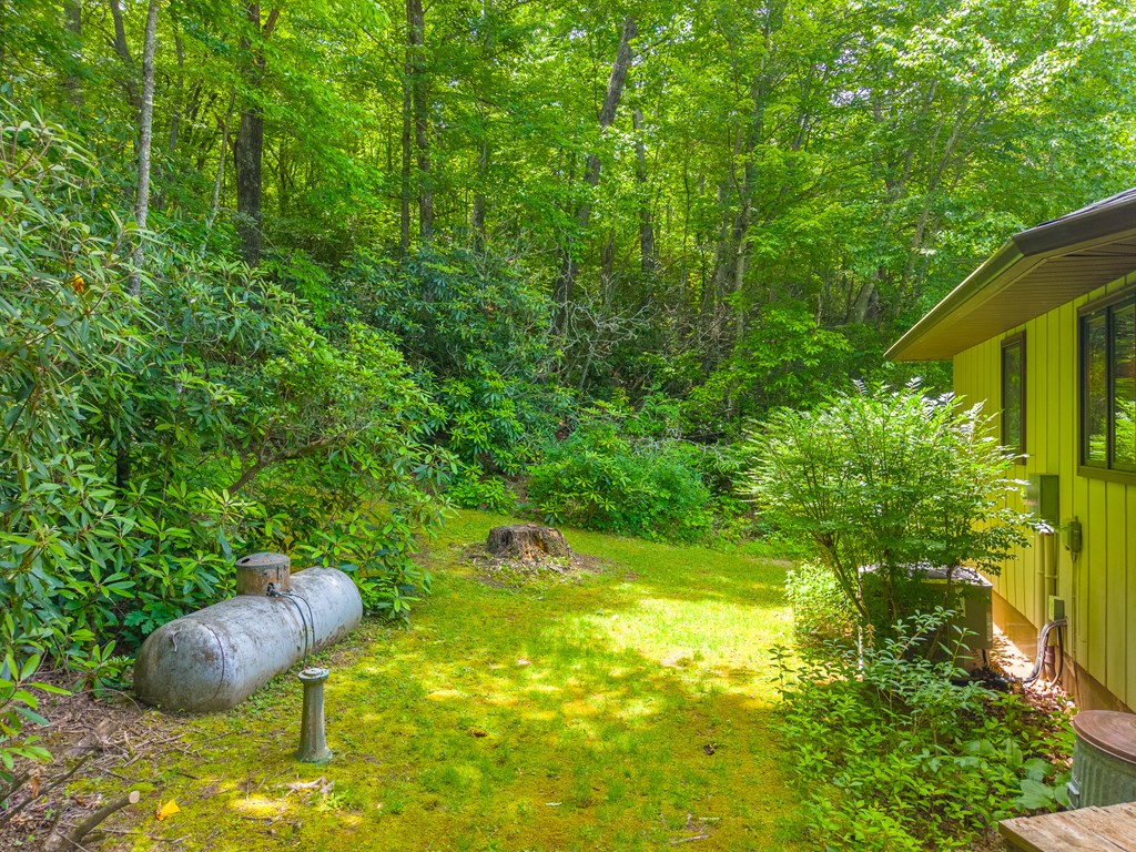 171 Ideal Acres Road