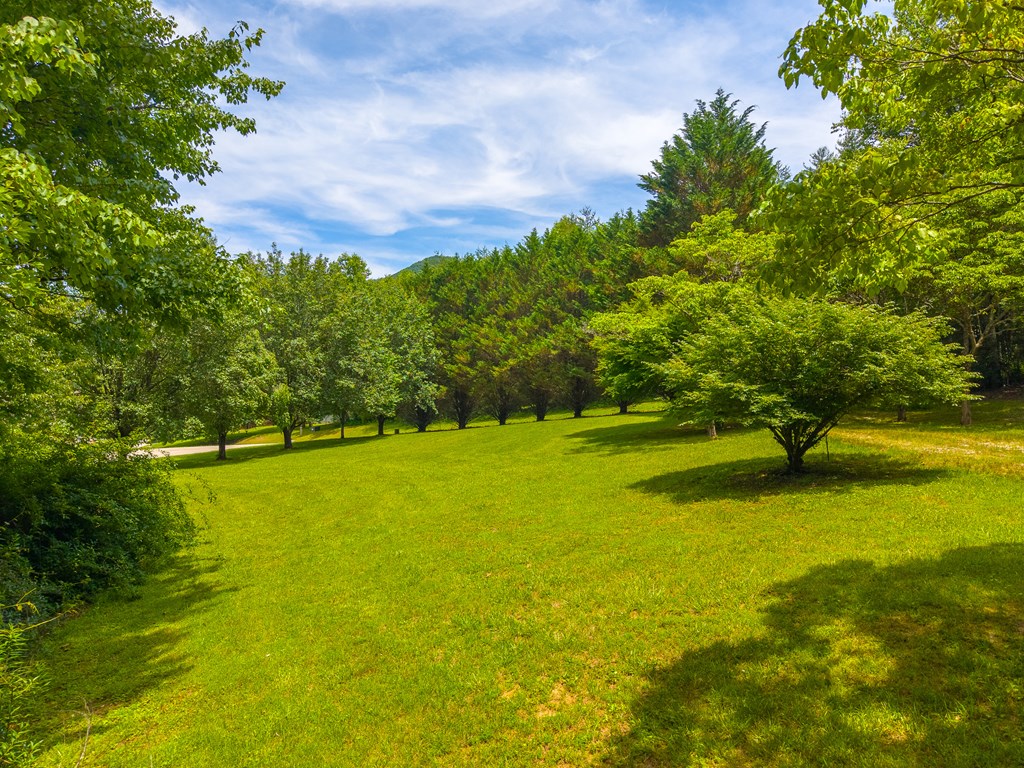 171 Ideal Acres Road