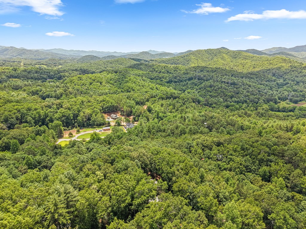 431 Judds Trail