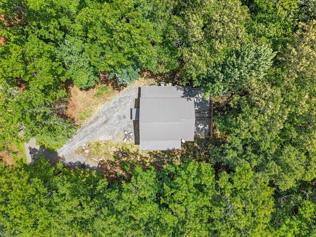 431 Judds Trail