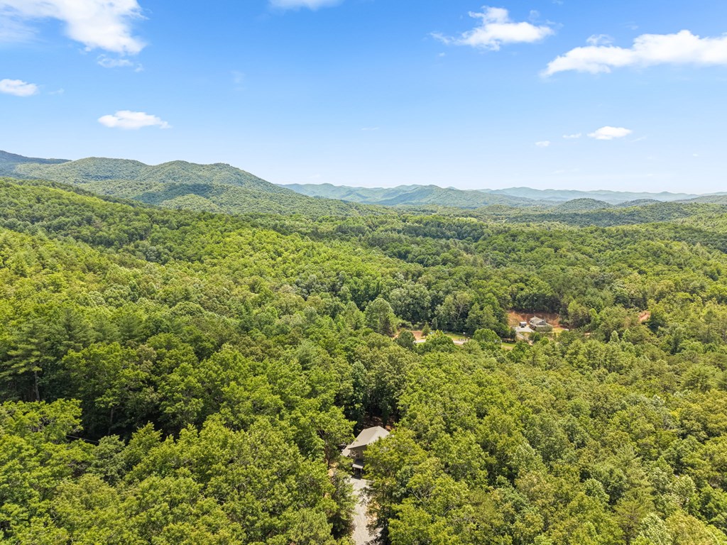 431 Judds Trail