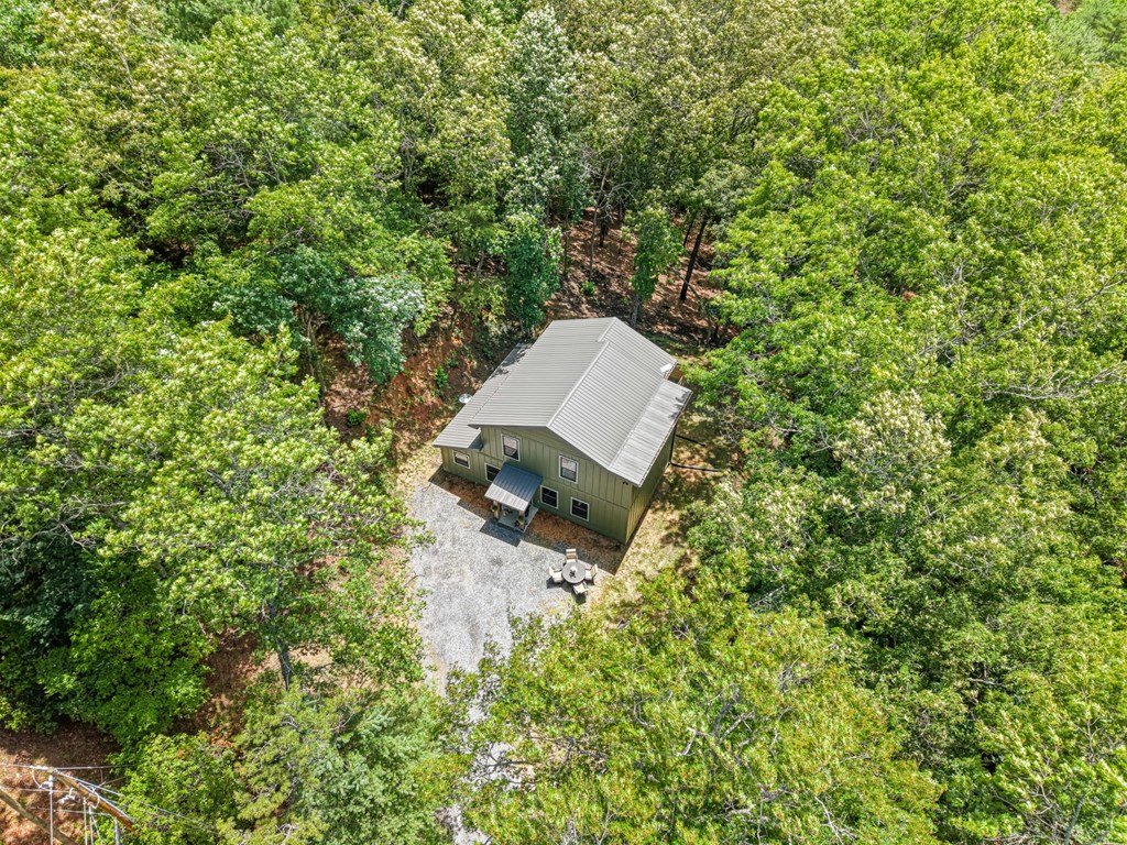 431 Judds Trail