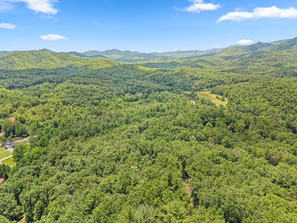 431 Judds Trail