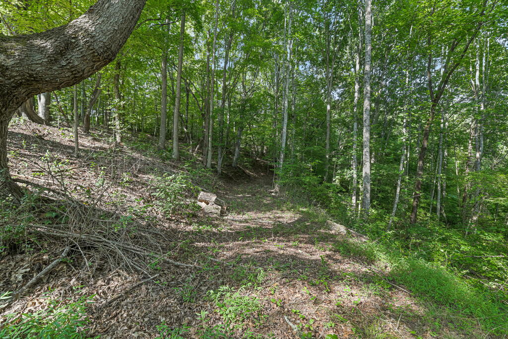 153 Boot Hill