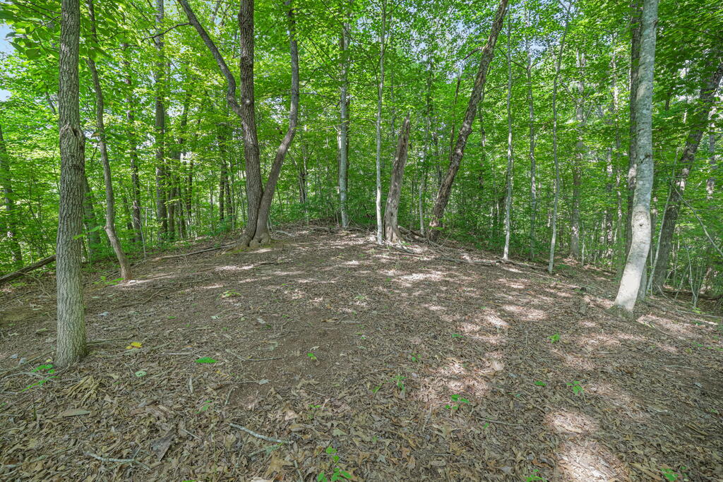 153 Boot Hill
