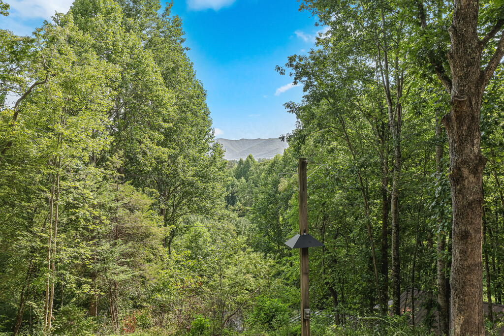 153 Boot Hill