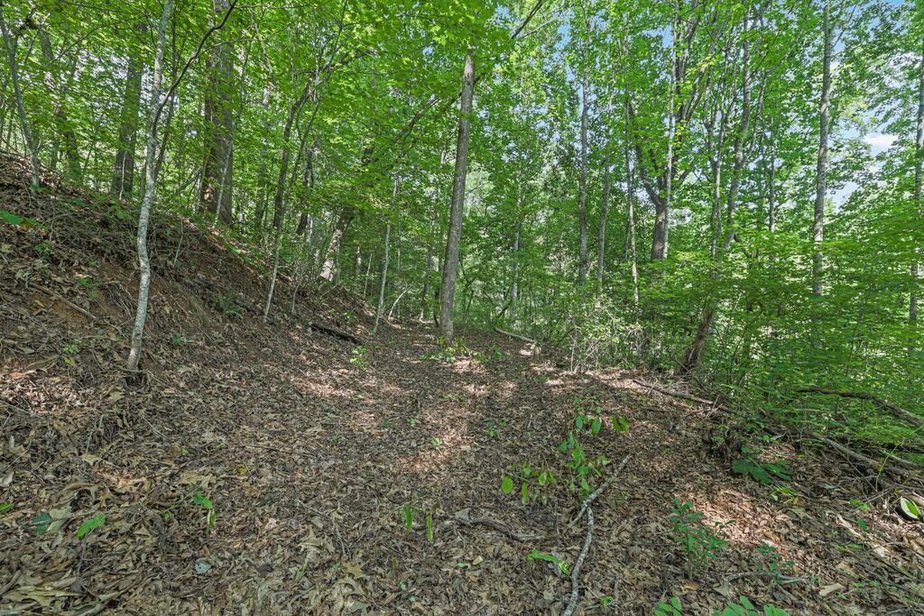 153 Boot Hill
