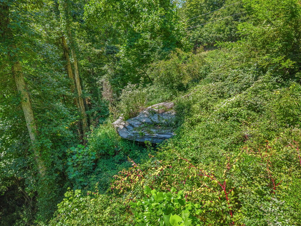 1120 Grizzly Ridge