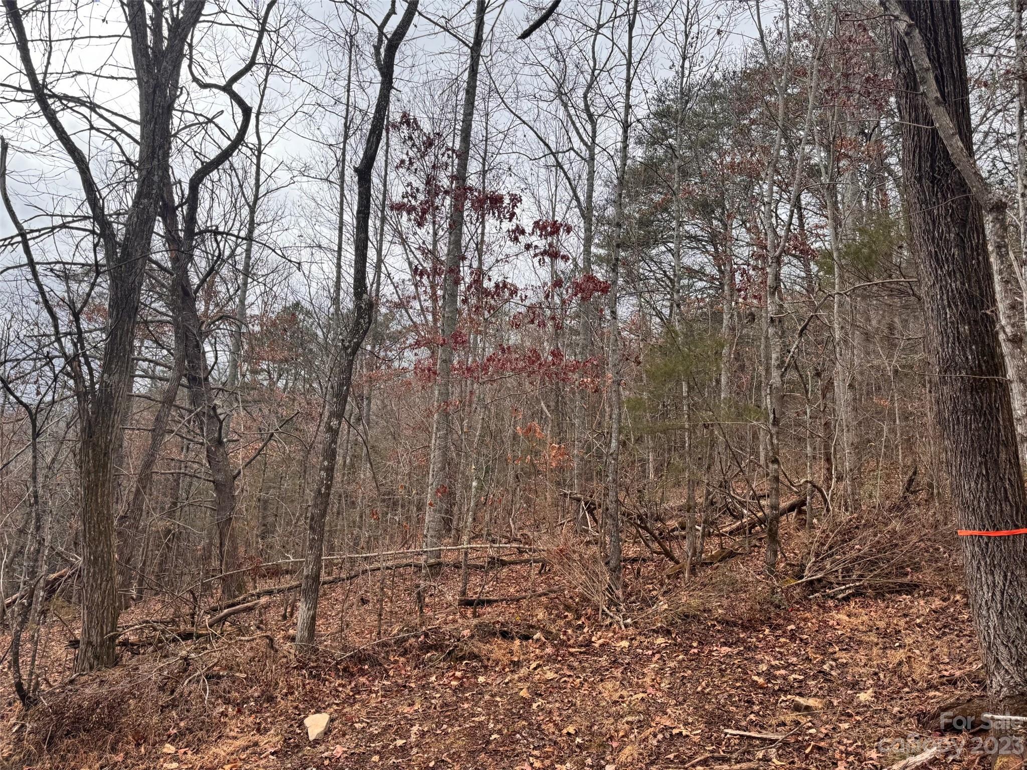 00 Holly Hill Lane