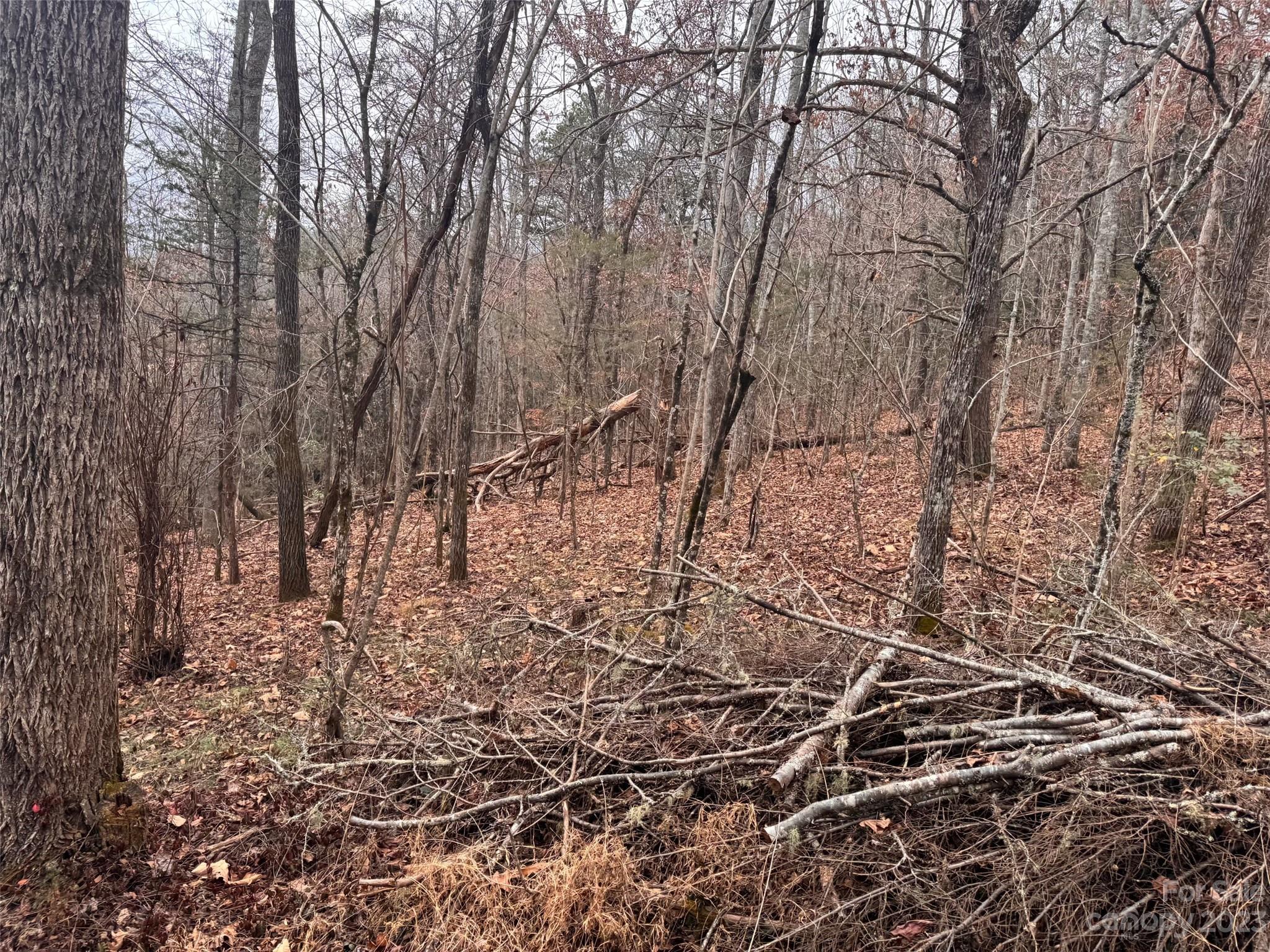 00 Holly Hill Lane