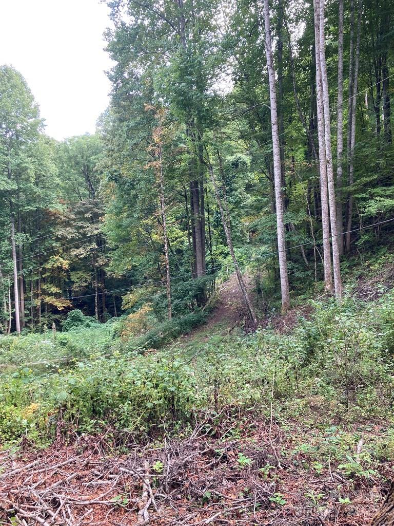 00 Laurel Drive Unit: Lot 12
