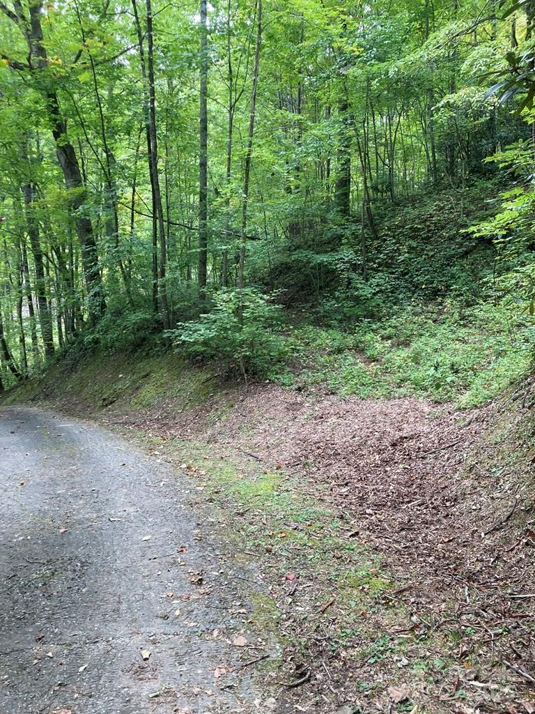 0 Laurel Drive Unit: Lot 9