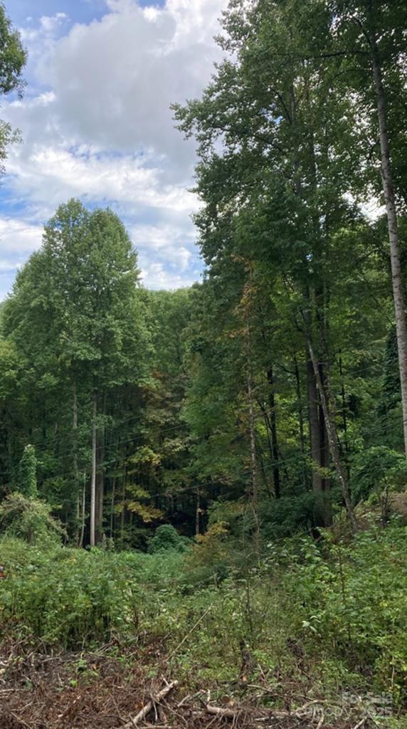 0 Laurel Drive Unit: Lot 9
