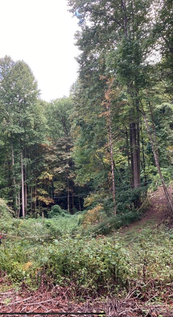 0 Laurel Drive Unit: Lot 9