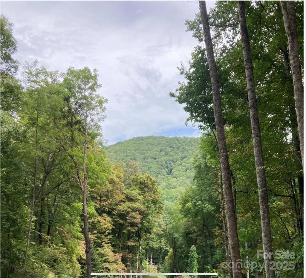 0 Laurel Drive Unit: Lot 9
