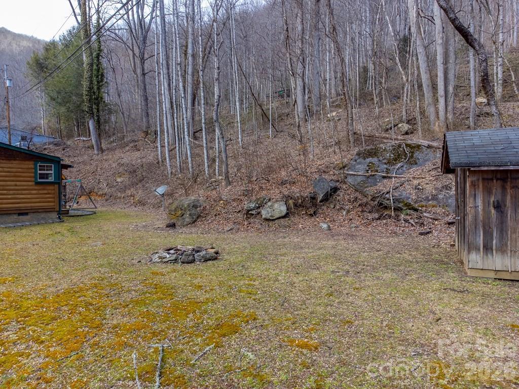 1668 Buff Creek Road