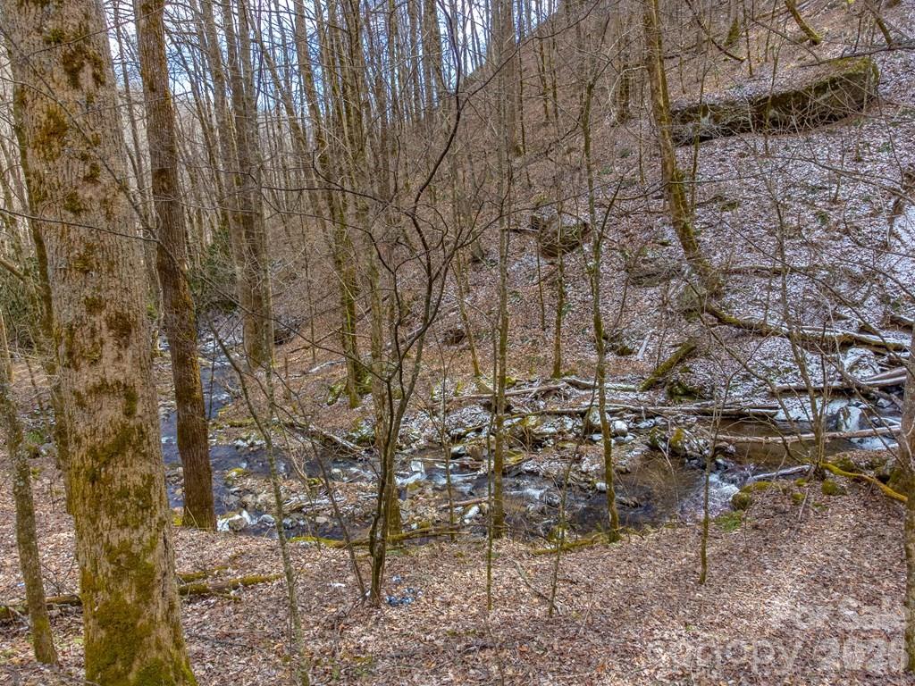 1668 Buff Creek Road
