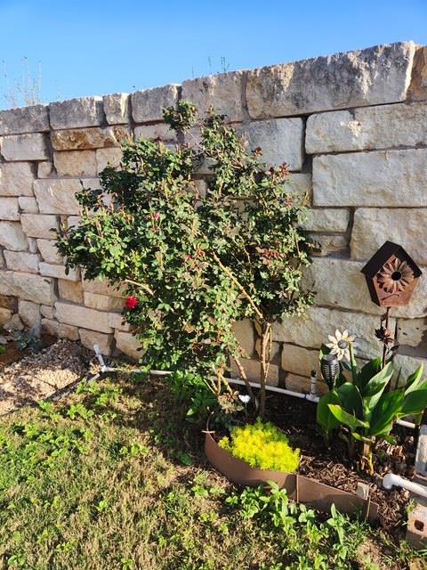 441 Mistflower Springs DR