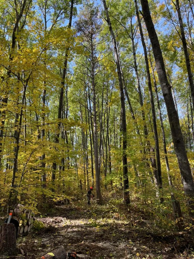 10935 Oak Point Road NW