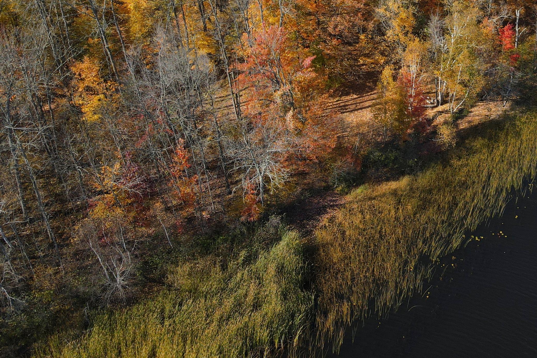 TBD Natures Way