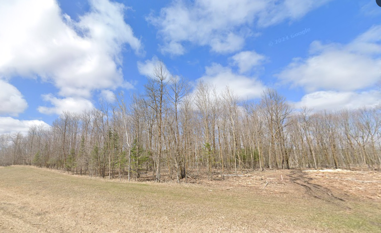 tbd N Blackduck Lake Road NE