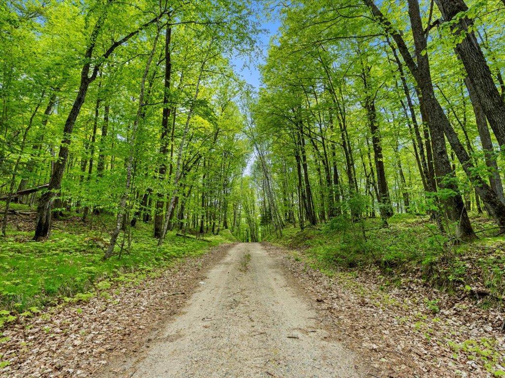 66653 County Road 533