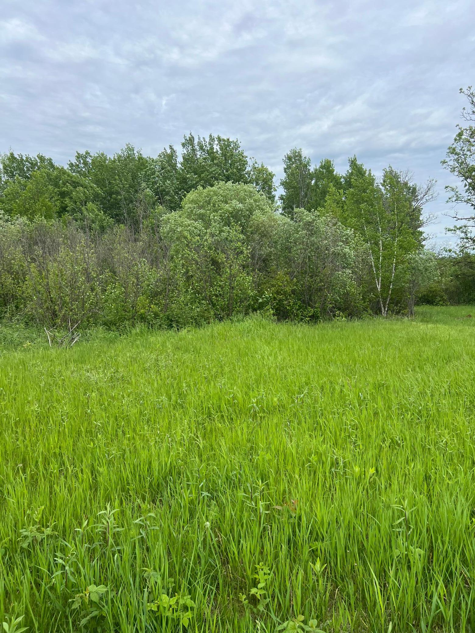 TBD Coneflower Drive SW