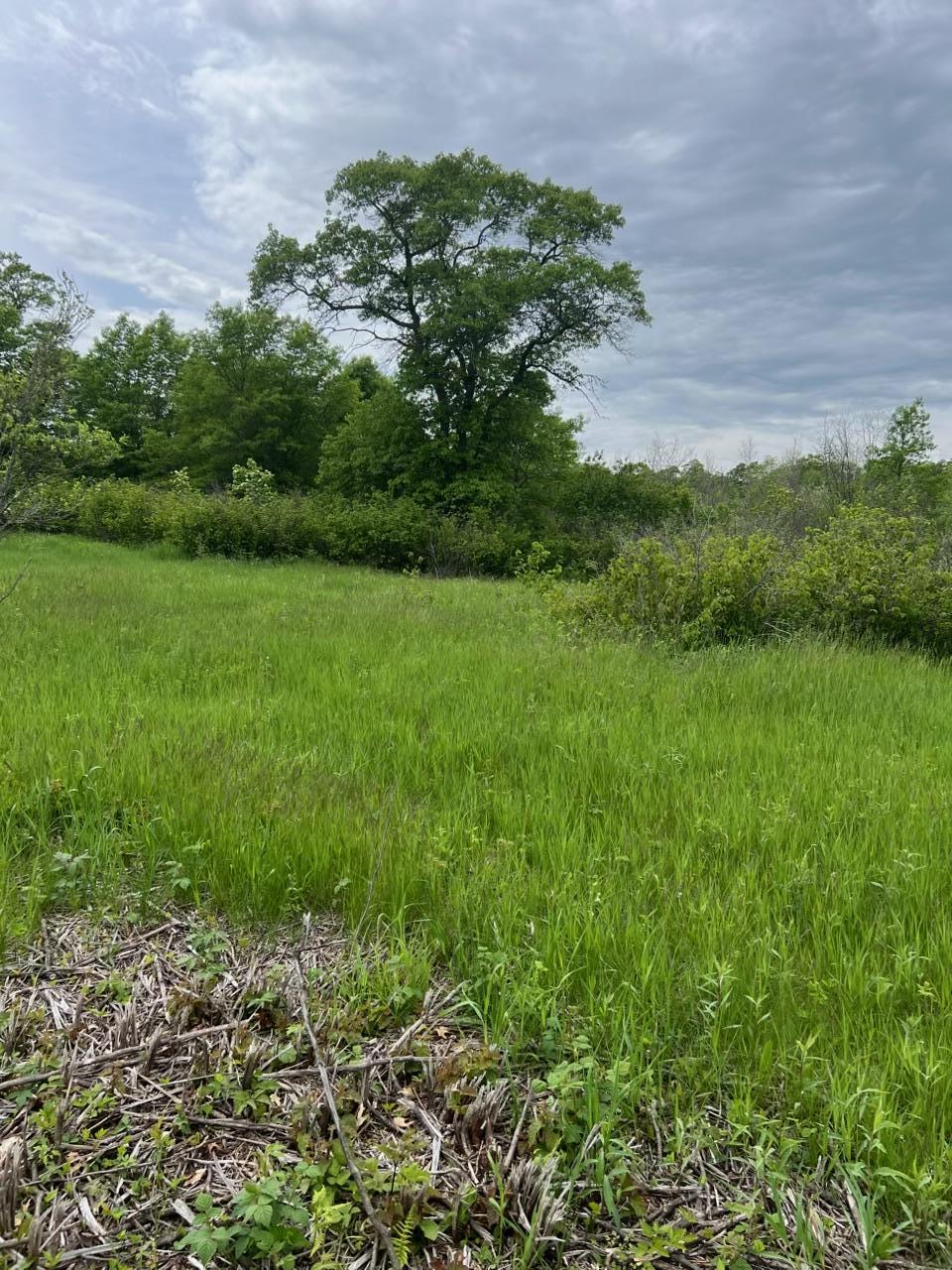 TBD Coneflower Drive SW