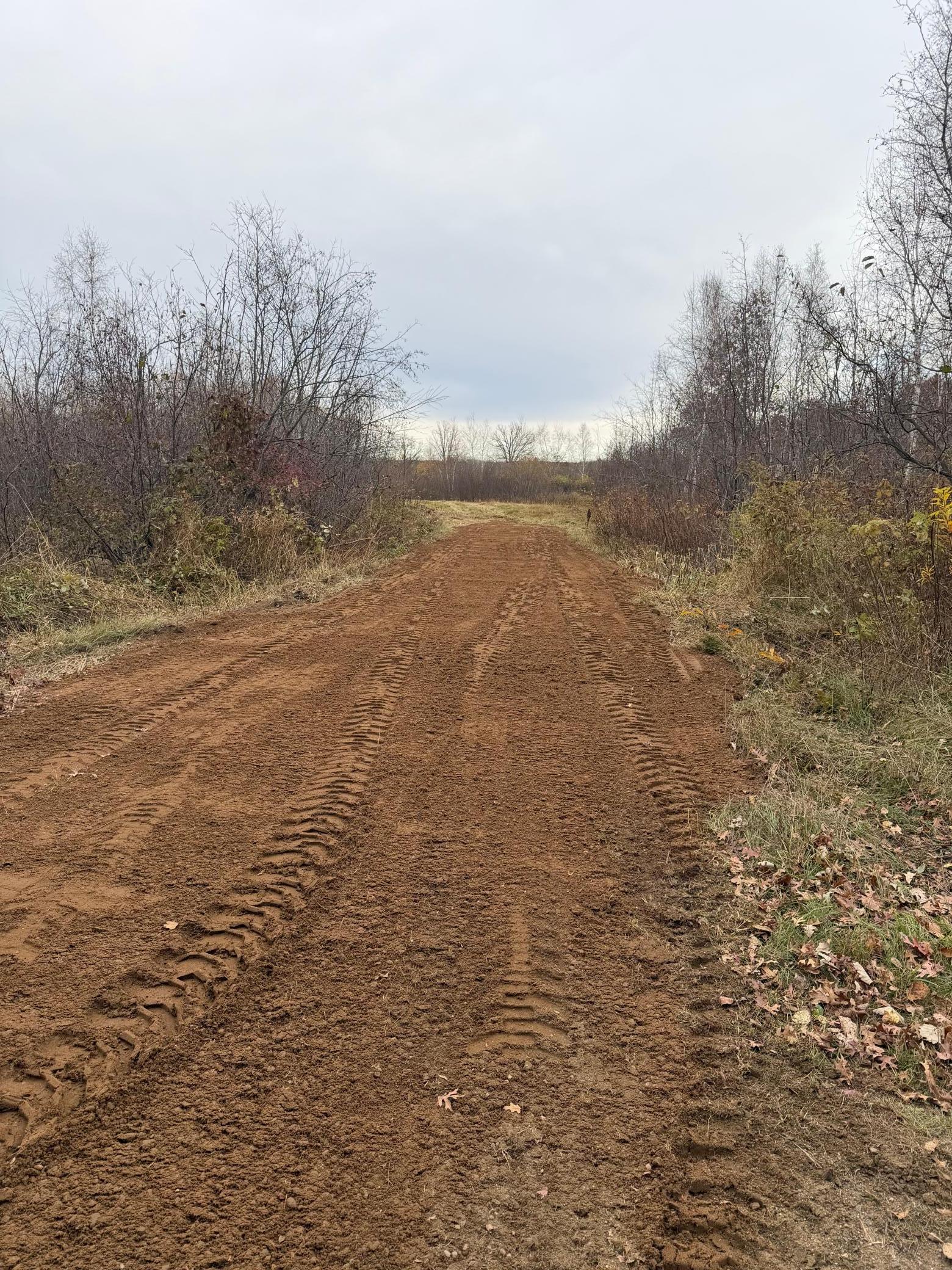 TBD Coneflower Drive SW