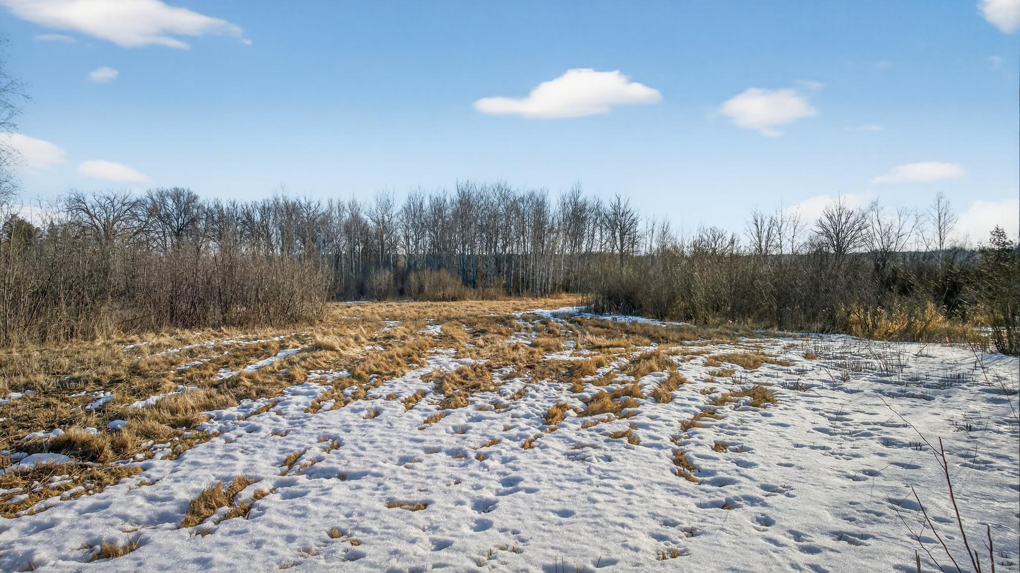 TBD Coneflower Drive SW