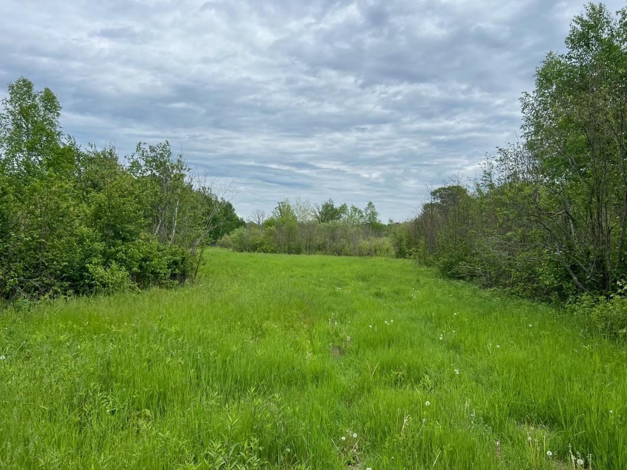 TBD Coneflower Drive SW