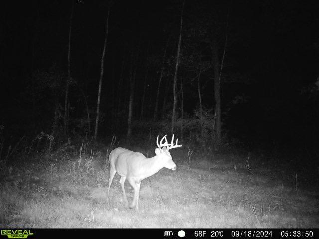 TBD Greenwood