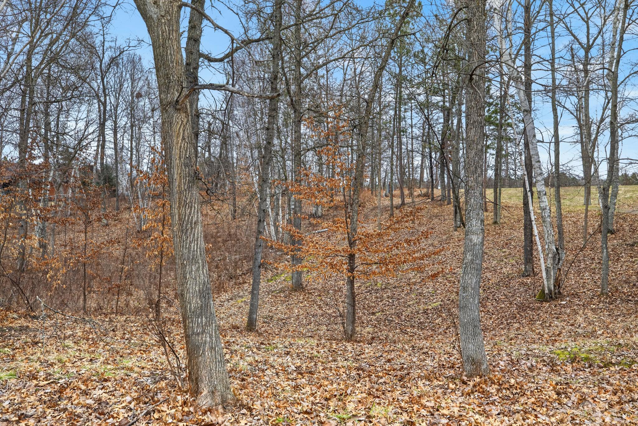 LOT 4 Judy's Way