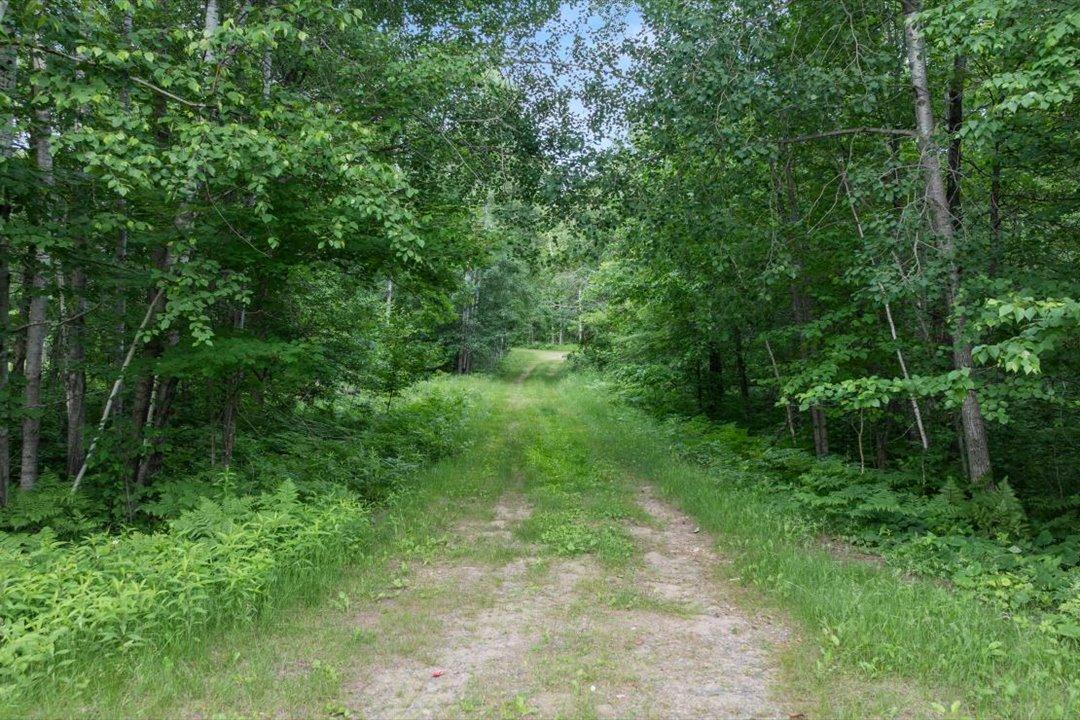 TBD Mitchell Road