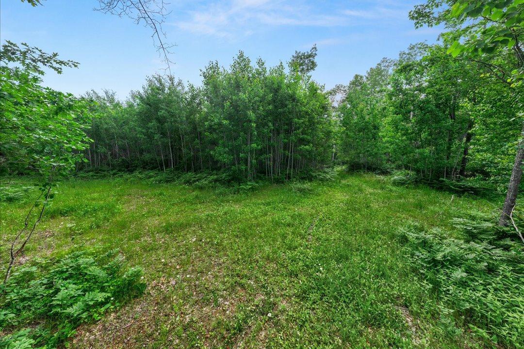 TBD Mitchell Road