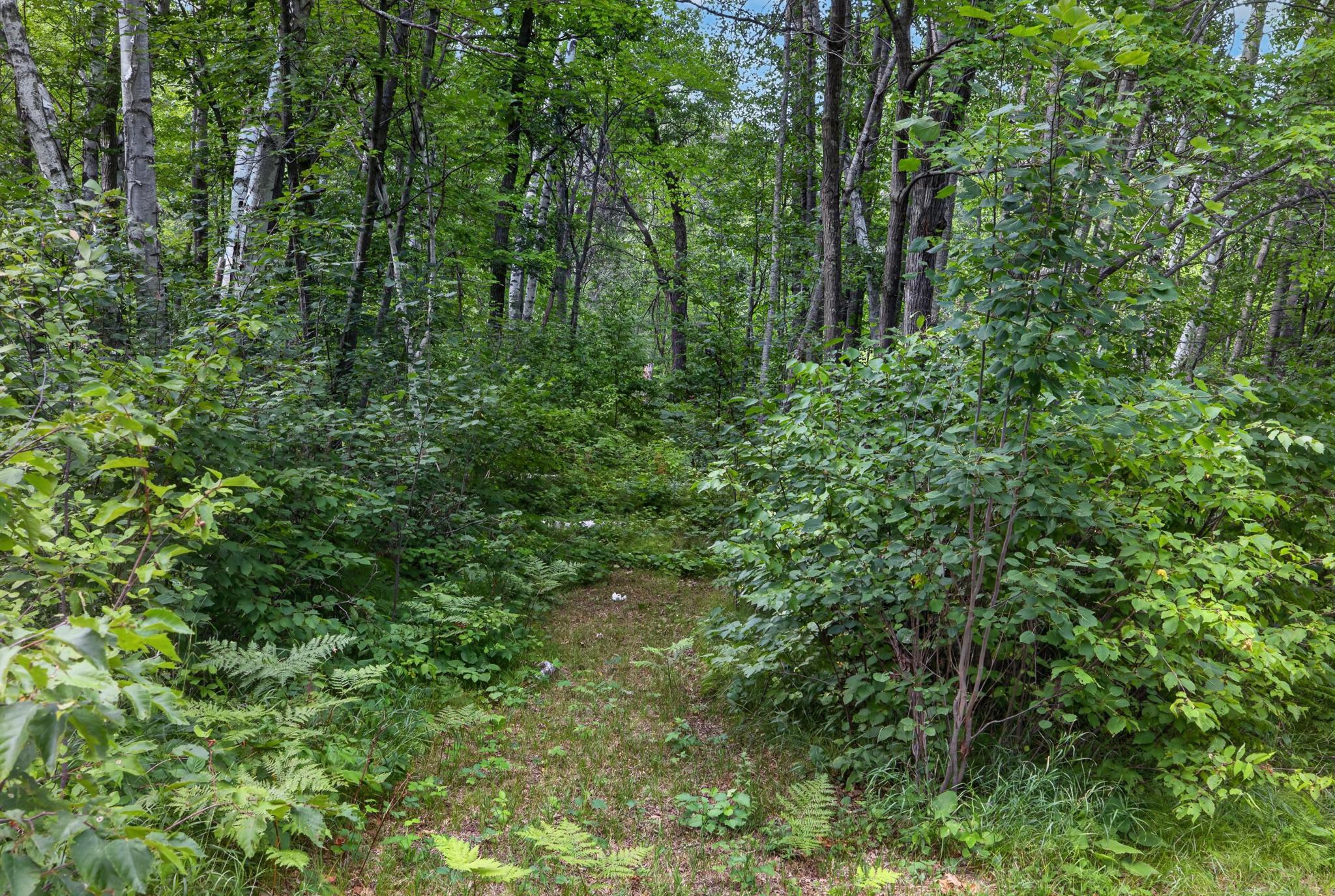 Lot 6 BLK 3 Wilderness Trail