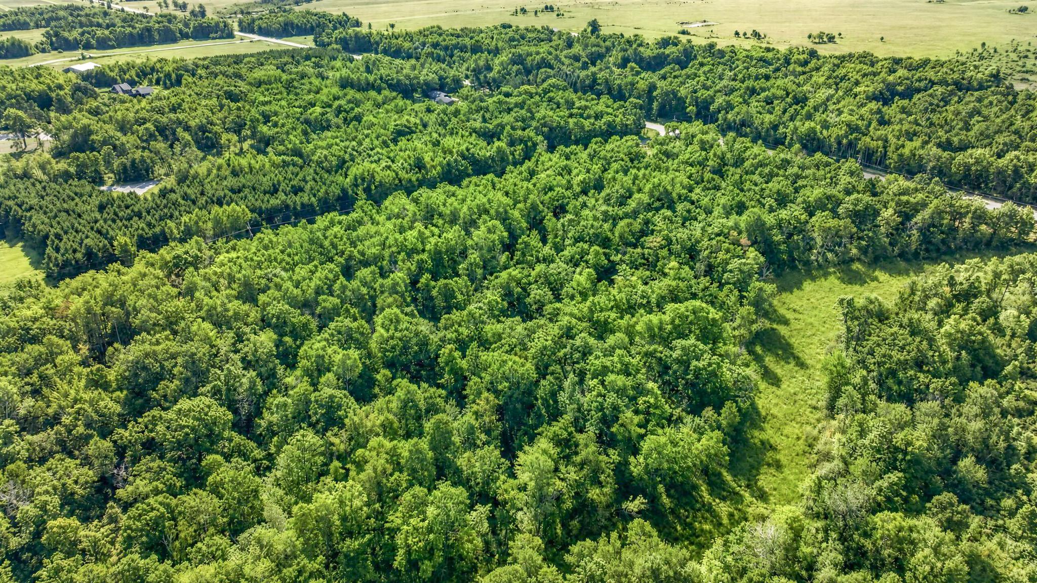 Lot 1 25th Avenue SW