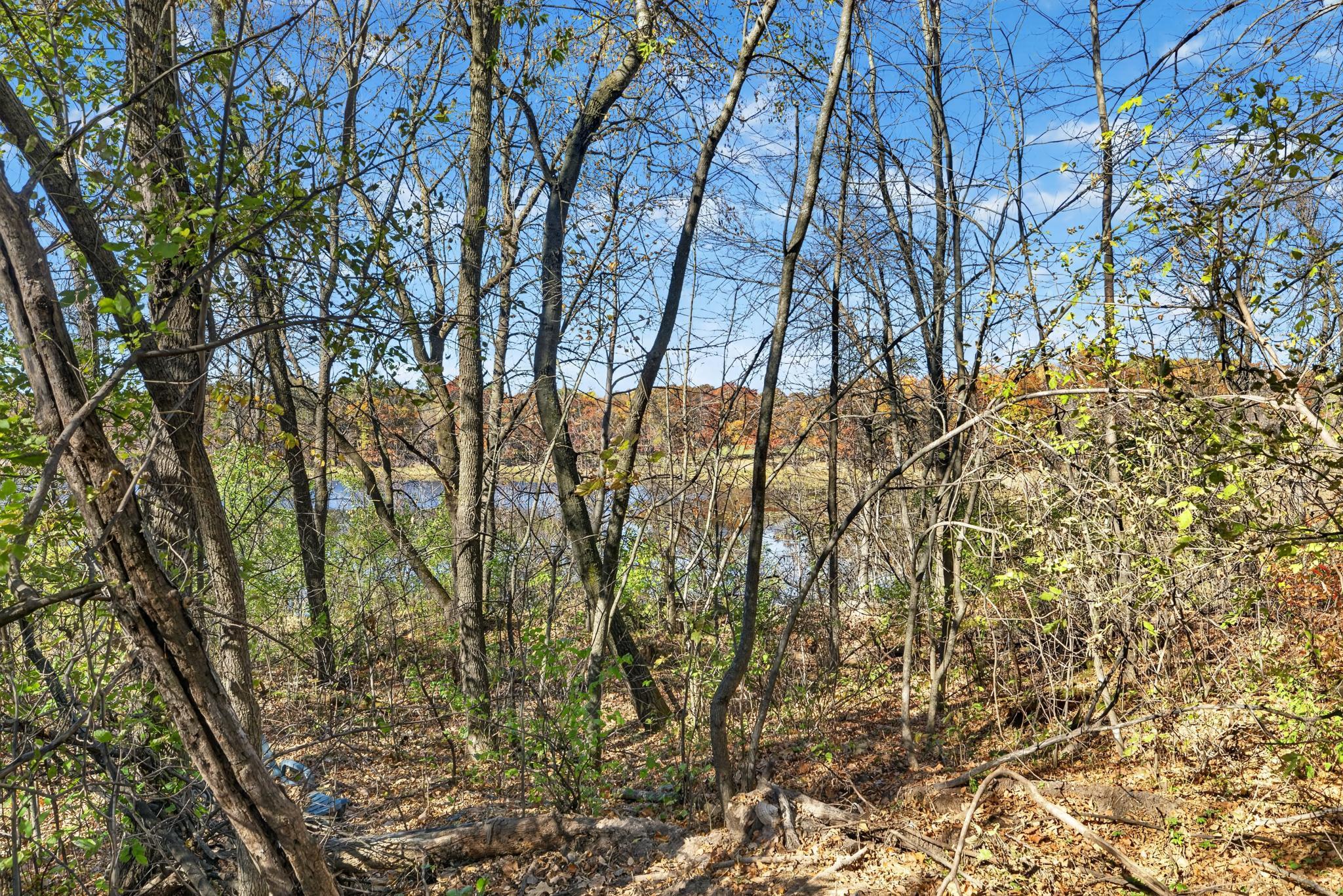 TBD County Road 6