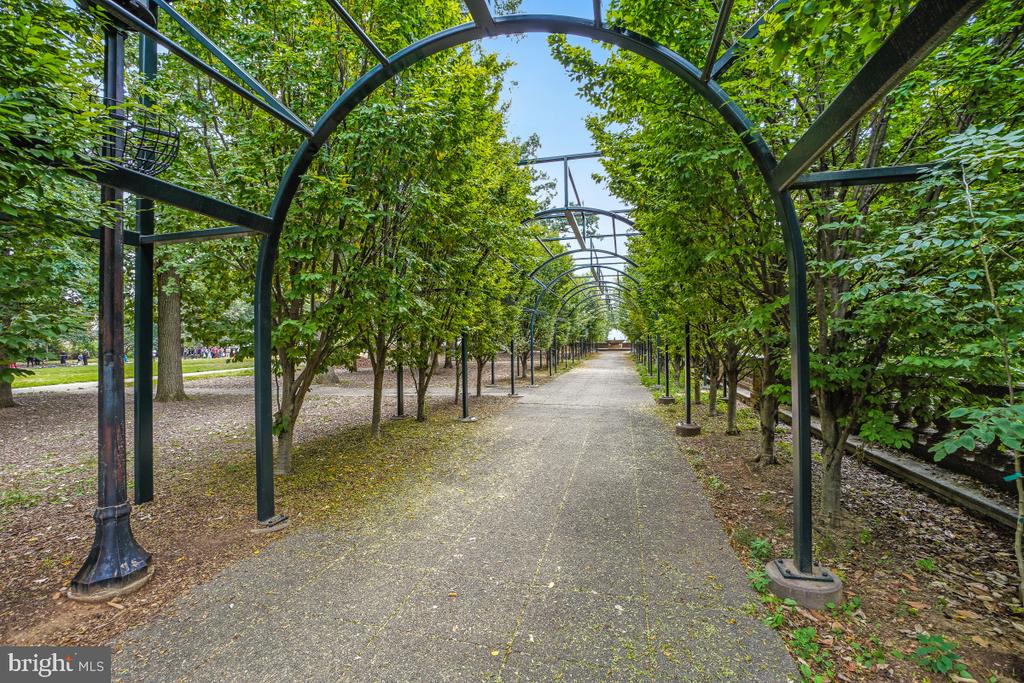 A park path recedes beneath a leafy canopy supported by repeating black metal arches.
